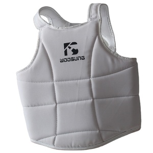 Woosung Taekwondo Karate MMA Jockstrap Protector